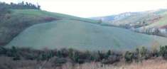 Foto Terreno Agricolo in Vendita, 1 Locale, 22060 mq, Castrocaro Term