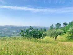Foto Terreno Agricolo in Vendita, 1 Locale, 23070 mq, Guglionesi