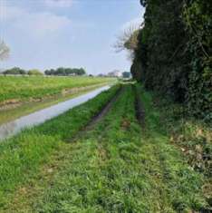 Foto Terreno Agricolo in Vendita, 1 Locale, 23228 mq, Chioggia