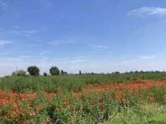 Foto Terreno Agricolo in Vendita, 1 Locale, 24910 mq, Lagosanto