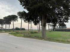 Foto Terreno agricolo in Vendita, 1 Locale, 25090 mq (FOGGIA R.MARTUC