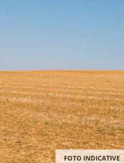 Foto Terreno Agricolo in Vendita, 1 Locale, 2930 mq, Cassago Brianza
