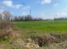 Foto Terreno Agricolo in Vendita, 1 Locale, 29527 mq, Quarto d'Altin
