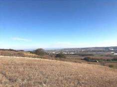 Foto Terreno Agricolo in Vendita, 1 Locale, 34816 mq, Guglionesi