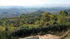 Foto Terreno Agricolo in Vendita, 1 Locale, 36614 mq, Certaldo