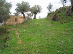 Foto Terreno agricolo in Vendita, 1 Locale, 4210 mq (CORIGLIANO ROSSA