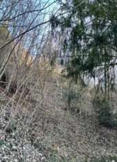 Foto Terreno Agricolo in Vendita, 1 Locale, 42890 mq, San Pellegrino