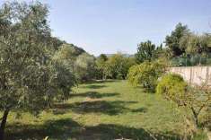 Foto Terreno agricolo in Vendita, 1 Locale, 4300 mq (CASTELNUOVO MAGR