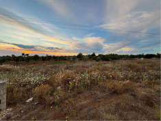 Foto Terreno Agricolo in Vendita, 1 Locale, 5000 mq, Alliste