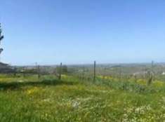 Foto Terreno Agricolo in Vendita, 1 Locale, 53345 mq, Ziano Piacentin