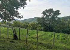 Foto Terreno Agricolo in Vendita, 1 Locale, 54494 mq, Barberino di Mu