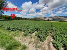 Foto Terreno Agricolo in Vendita, 1 Locale, 5500 mq, Acerra