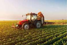 Foto Terreno Agricolo in Vendita, 1 Locale, 5500 mq, Pontelongo