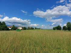 Foto Terreno Agricolo in Vendita, 1 Locale, 5656 mq, Malo