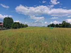 Foto Terreno Agricolo in Vendita, 1 Locale, 566100 mq, Malo