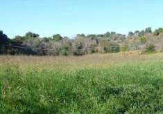 Foto Terreno Agricolo in Vendita, 1 Locale, 57697 mq, Pesaro (Tombacc