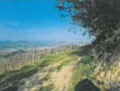 Foto Terreno Agricolo in Vendita, 1 Locale, 58322 mq, Cesena