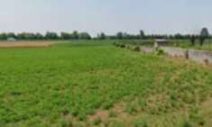 Foto Terreno Agricolo in Vendita, 1 Locale, 6350 mq, Leno
