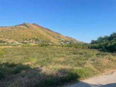 Foto Terreno Agricolo in Vendita, 1 Locale, 7000 mq, Sessa Aurunca