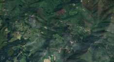 Foto Terreno Agricolo in Vendita, 1 Locale, 70000 mq, Vicchio