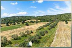 Foto Terreno Agricolo in Vendita, 1 Locale, 7390 mq, Monte Romano