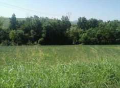 Foto Terreno Agricolo in Vendita, 1 Locale, 75890 mq, Monte San Pietr