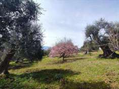 Foto Terreno agricolo in Vendita, 1 Locale, 7713 mq (AULETTA)