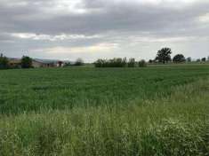 Foto Terreno Agricolo in Vendita, 1 Locale, 800 mq, Assisi