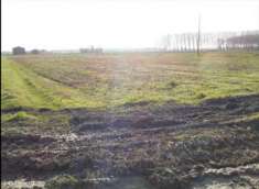 Foto Terreno Agricolo in Vendita, 1 Locale, 80721 mq, Terre del Reno