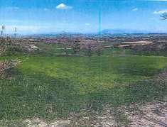 Foto Terreno Agricolo in Vendita, 1 Locale, 8200 mq, Perugia