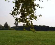 Foto Terreno Agricolo in Vendita, 1 Locale, 8205 mq, Sarcedo