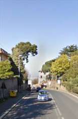 Foto Terreno Agricolo in Vendita, 1 Locale, 8255 mq, Frascati