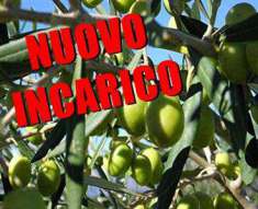 Foto Terreno Agricolo in Vendita, 1 Locale, 8300 mq, Corato