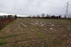 Foto Terreno Agricolo in Vendita, 1 Locale, 8400 mq, Zero Branco