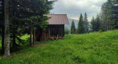 Foto Terreno Agricolo in Vendita, 1 Locale, 8440 mq, Comelico Superio