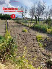 Foto Terreno Agricolo in Vendita, 1 Locale, 873 mq, Nola