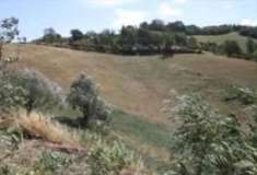 Foto Terreno Agricolo in Vendita, 1 Locale, 87450 mq, Urbino