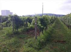 Foto Terreno Agricolo in Vendita, 1 Locale, 8750 mq, Farra d'Isonzo