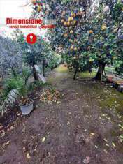 Foto Terreno Agricolo in Vendita, 1 Locale, 900 mq, San Felice a Canc