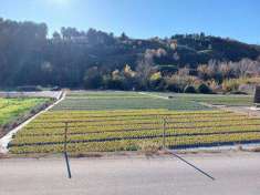 Foto Terreno Agricolo in Vendita, 1 Locale, 9510 mq, Cisano sul Neva