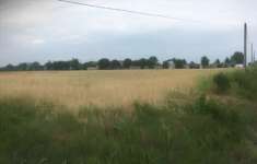 Foto Terreno Agricolo in Vendita, 1 Locale, 95771 mq, Leno