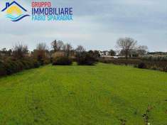 Foto Terreno agricolo in Vendita, 1000 mq (CELLOLE)