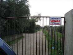 Foto Terreno agricolo in Vendita, 1000 mq (CORIGLIANO ROSSANO C.DA OL