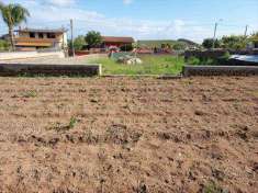 Foto Terreno agricolo in Vendita, 1000 mq (NETTUNO)