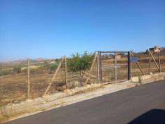 Foto Terreno agricolo in Vendita, 10000 mq (CAMASTRA)