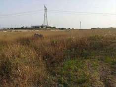 Foto Terreno Agricolo in Vendita, 10000 mq, Carosino
