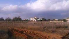 Foto Terreno Agricolo in Vendita, 10000 mq, Marsala (Periferia lato M