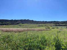 Foto Terreno agricolo in Vendita, 10000 mq (PACHINO)