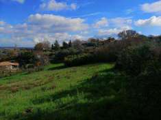 Foto Terreno agricolo in Vendita, 10000 mq (VITERBO CASSIA SUD)