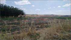 Foto Terreno agricolo in Vendita, 100000 mq (CANICATTI' D 3 ZONA USC